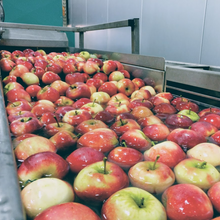 Afbeelding in Gallery-weergave laden, RAM Cider - Origineel